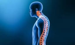 Ameliyatsız Kamburluk (Kifoz) Tedavisi